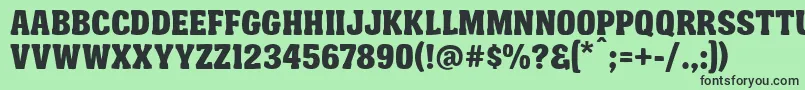FtyGarishingWorseNcvNormal Font – Black Fonts on Green Background