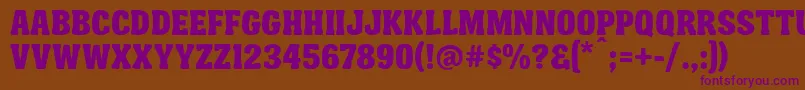 FtyGarishingWorseNcvNormal Font – Purple Fonts on Brown Background