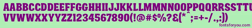 FtyGarishingWorseNcvNormal Font – Purple Fonts on Green Background