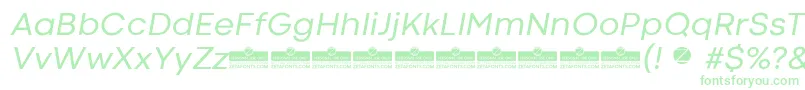 CodecColdRegularItalicTrial Font – Green Fonts