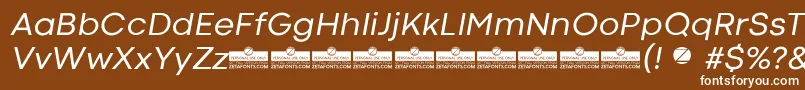 CodecColdRegularItalicTrial Font – White Fonts on Brown Background