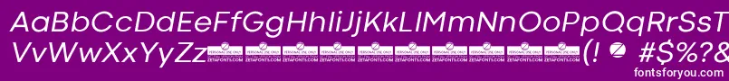 CodecColdRegularItalicTrial Font – White Fonts on Purple Background