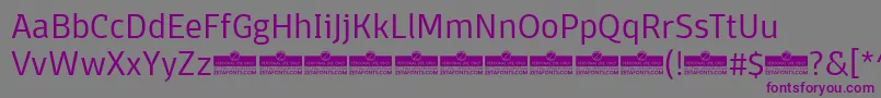 DomotikaLightTrial-fontti – violetit fontit harmaalla taustalla