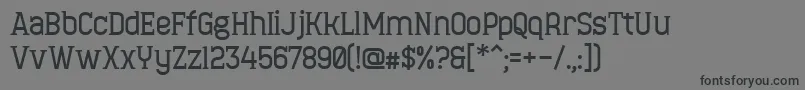 MinaeffEctBold Font – Black Fonts on Gray Background