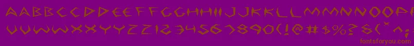 ArgosyExpanded Font – Brown Fonts on Purple Background