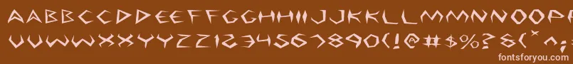 ArgosyExpanded Font – Pink Fonts on Brown Background