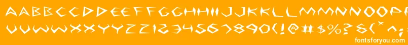 ArgosyExpanded Font – White Fonts on Orange Background