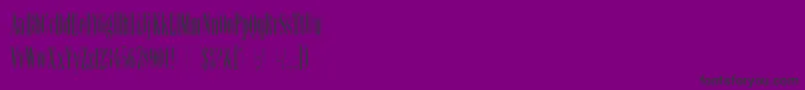 フォントLatinoElongatedLetPlain.1.0 – 紫の背景に黒い文字