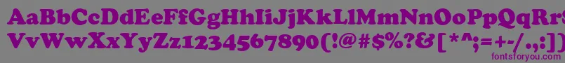 CooperBlackRegular Font – Purple Fonts on Gray Background