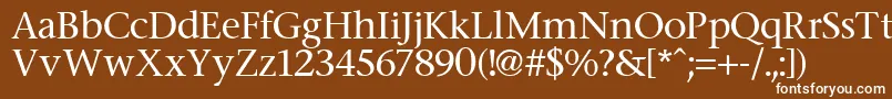 Stone Font – White Fonts on Brown Background