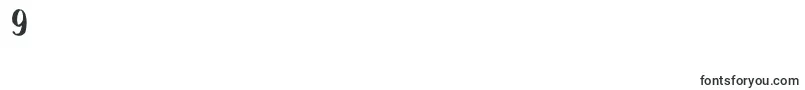 ChelseaBrushScript Font – Fonts for Digit 9