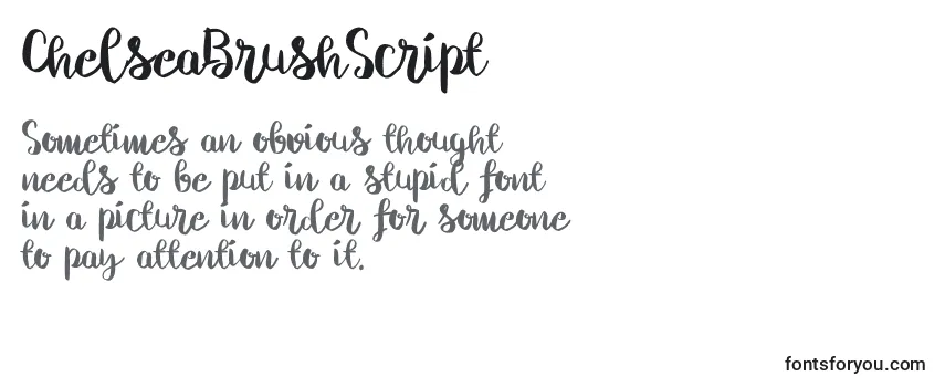 Шрифт ChelseaBrushScript (83995)