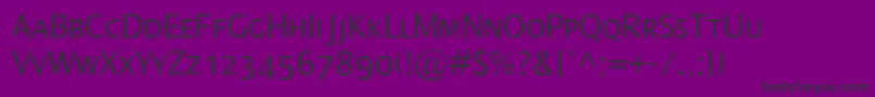 DialogLightSmallcaps Font – Black Fonts on Purple Background