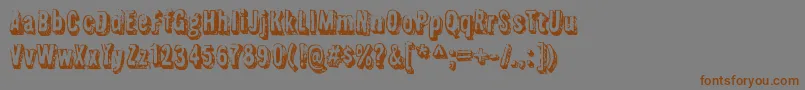 Шрифт FlyswimRegular – коричневые шрифты на сером фоне