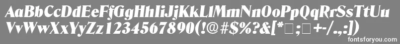 フォントKazanDisplaySsiItalic – 灰色の背景に白い文字