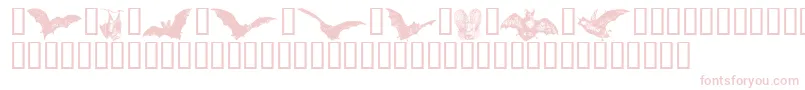 fuente Batbats ffy – Fuentes Rosadas Sobre Fondo Blanco
