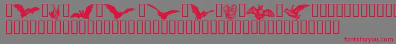 Batbats ffy Font – Red Fonts on Gray Background