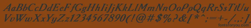 AAdemyItalicBoldItalic Font – Black Fonts on Brown Background