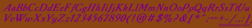 AAdemyItalicBoldItalic Font – Purple Fonts on Brown Background