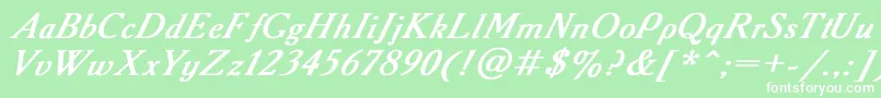 AAdemyItalicBoldItalic Font – White Fonts on Green Background