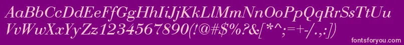 BodoniRomanItalic Font – Pink Fonts on Purple Background