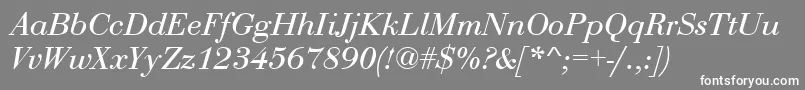 BodoniRomanItalic Font – White Fonts on Gray Background