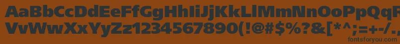 Agforeignerultrablackc Font – Black Fonts on Brown Background