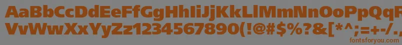 Agforeignerultrablackc Font – Brown Fonts on Gray Background