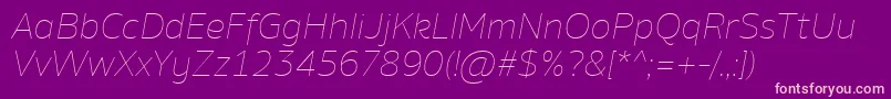 AminoThinItalic Font – Pink Fonts on Purple Background