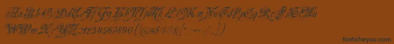 fuente Neuezierschrift – Fuentes Negras Sobre Fondo Marrón