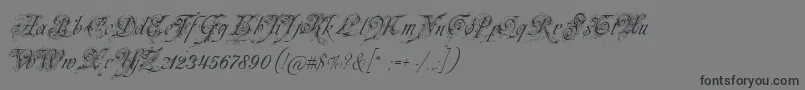 Czcionka Neuezierschrift – czarne czcionki na szarym tle