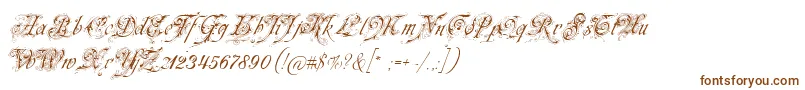 Neuezierschrift-Schriftart – Braune Schriften auf weißem Hintergrund
