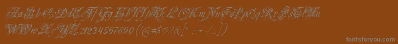 Fonte Neuezierschrift – fontes cinzas em um fundo marrom