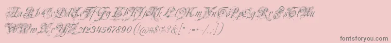 Fonte Neuezierschrift – fontes cinzas em um fundo rosa