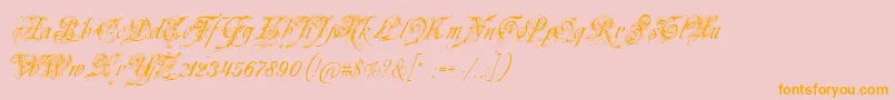 Neuezierschrift Font – Orange Fonts on Pink Background