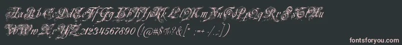 Fonte Neuezierschrift – fontes rosa em um fundo preto