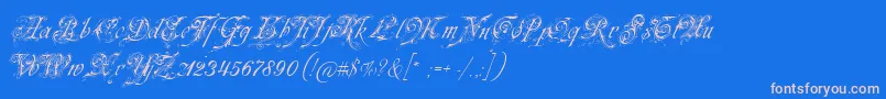 フォントNeuezierschrift – ピンクの文字、青い背景