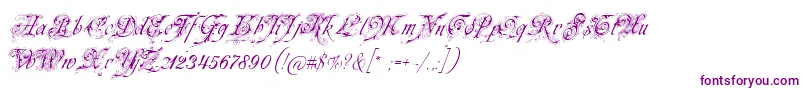 Neuezierschrift Font – Purple Fonts on White Background