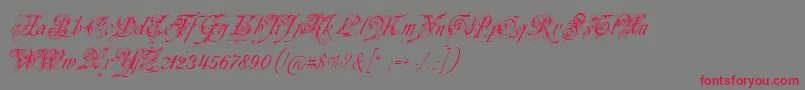 フォントNeuezierschrift – 赤い文字の灰色の背景