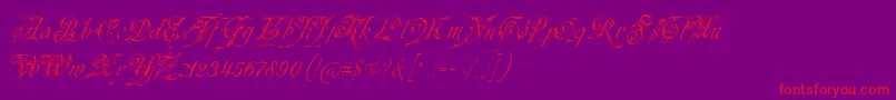 Neuezierschrift-Schriftart – Rote Schriften auf violettem Hintergrund