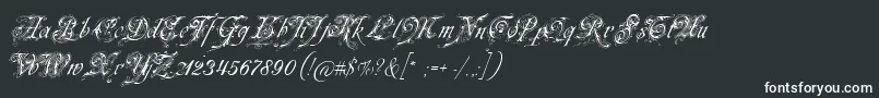 Neuezierschrift Font – White Fonts on Black Background