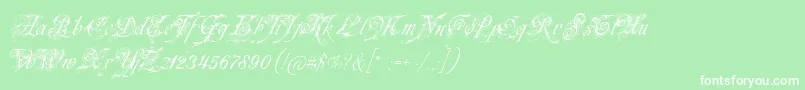 fuente Neuezierschrift – Fuentes Blancas Sobre Fondo Verde