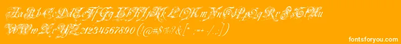 Neuezierschrift-Schriftart – Weiße Schriften auf orangefarbenem Hintergrund