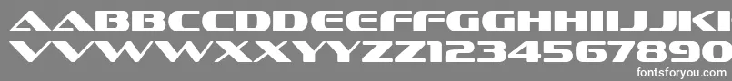 SofachromeRg Font – White Fonts on Gray Background