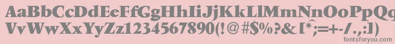 V691RomanXboldRegular Font – Gray Fonts on Pink Background
