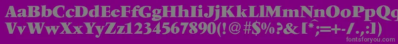 V691RomanXboldRegular Font – Gray Fonts on Purple Background