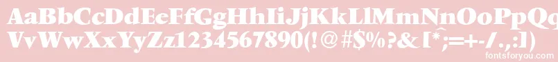 V691RomanXboldRegular Font – White Fonts on Pink Background