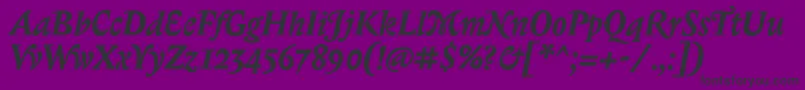 BiblonitcswashBolditalic Font – Black Fonts on Purple Background