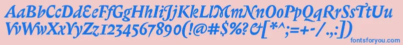 BiblonitcswashBolditalic Font – Blue Fonts on Pink Background