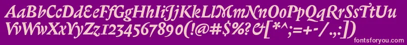 BiblonitcswashBolditalic Font – Pink Fonts on Purple Background